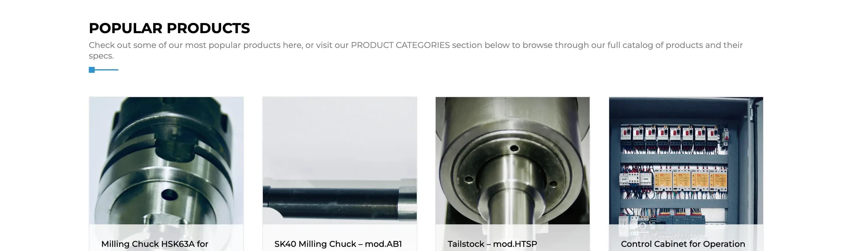 Popular products section on the homepage